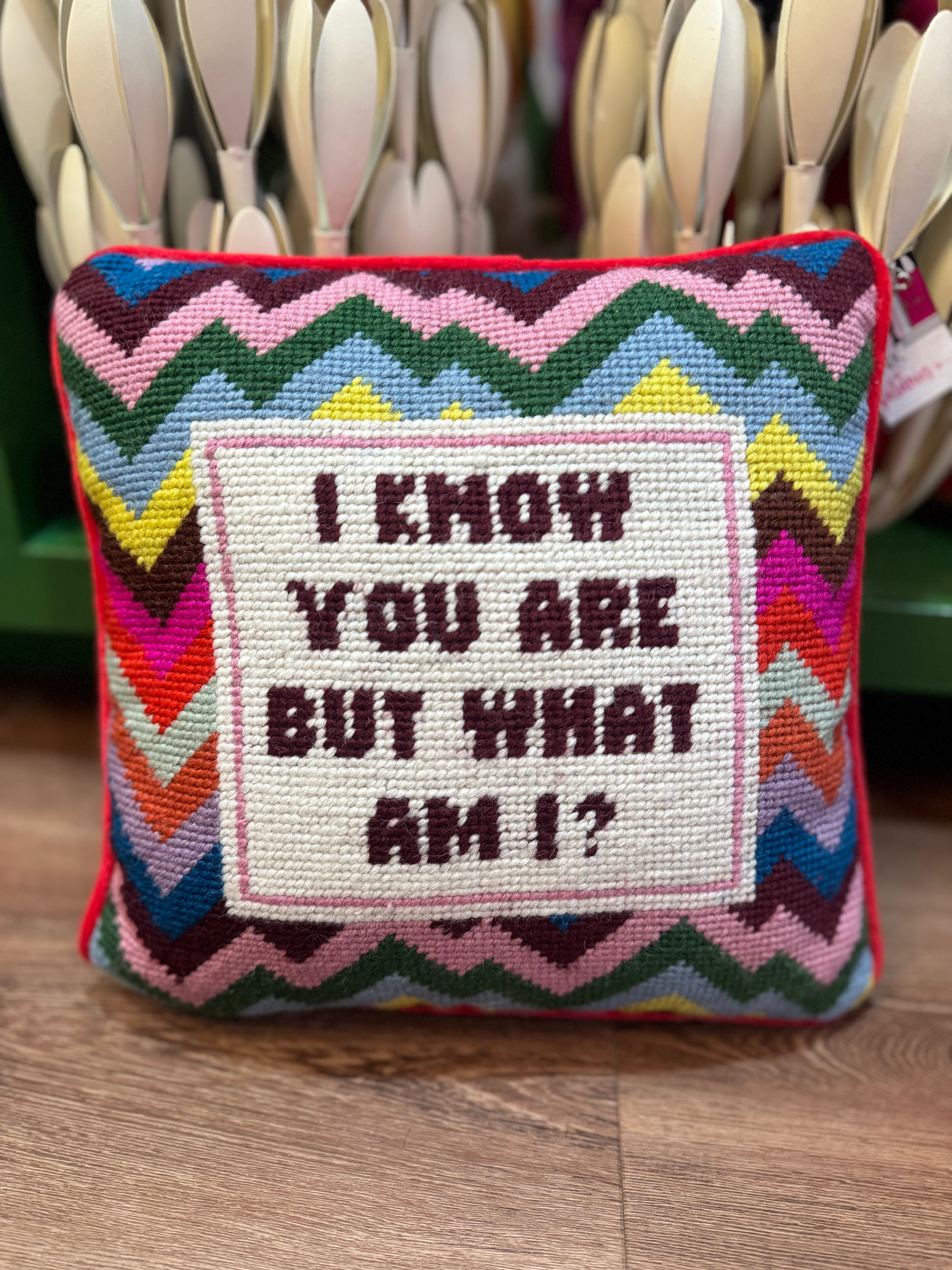 I Know You Are but What Am I Needle Point Pillow