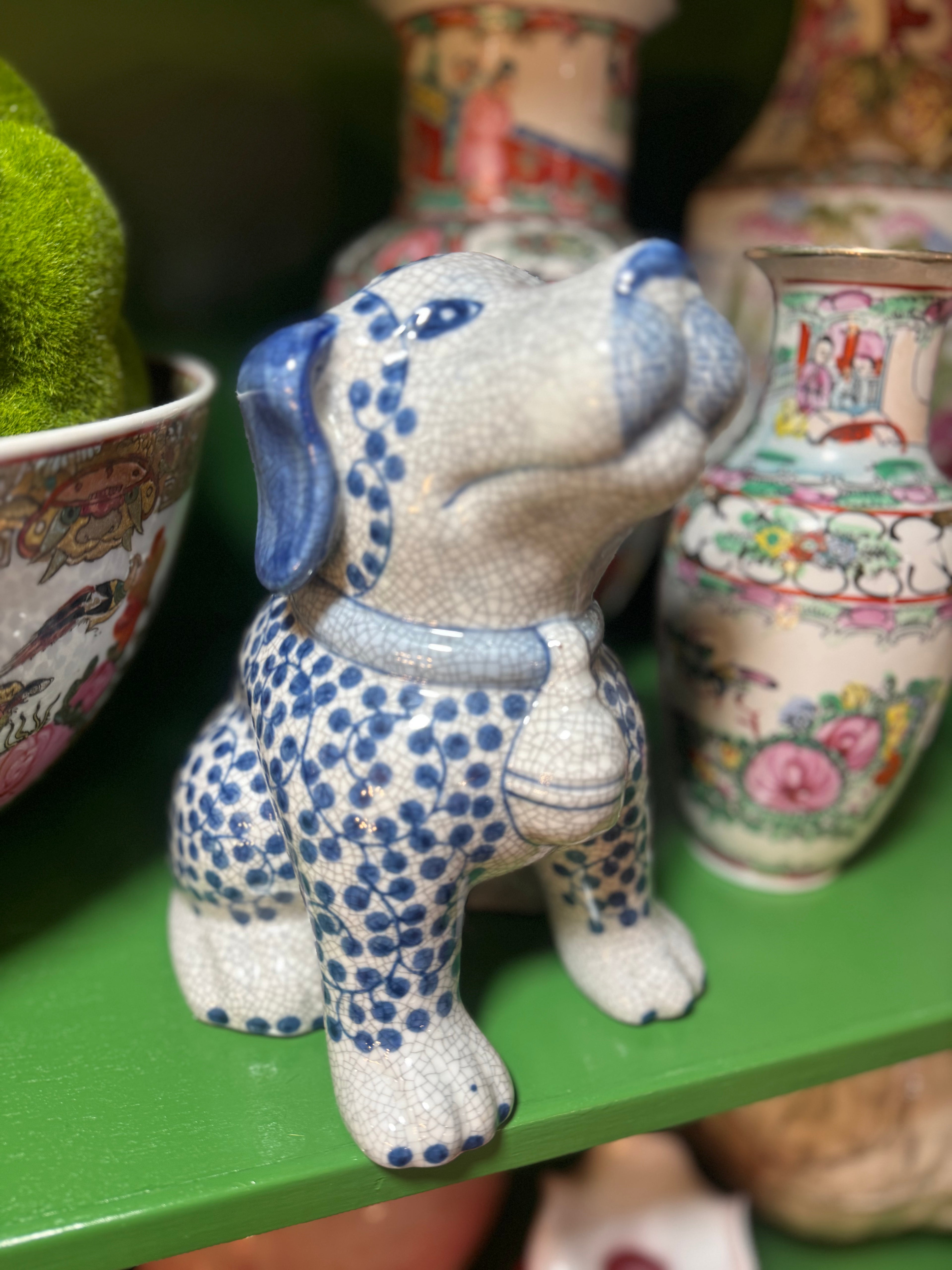 Blue and White dog