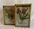 Set of 2 Vintage Artwork